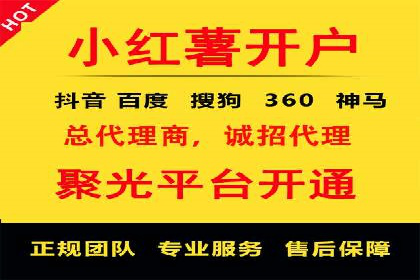 SEM广告投放中的数据监控与调整策略——以某品牌营销案例为例